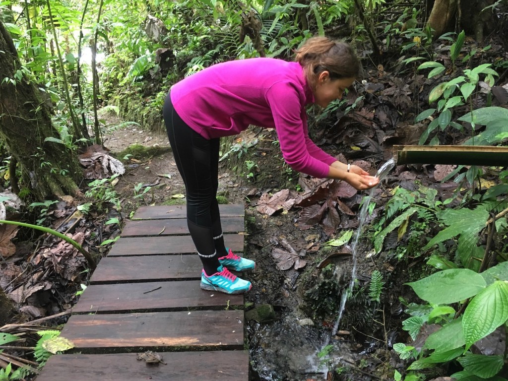 fresh spring water in mindo airbnb